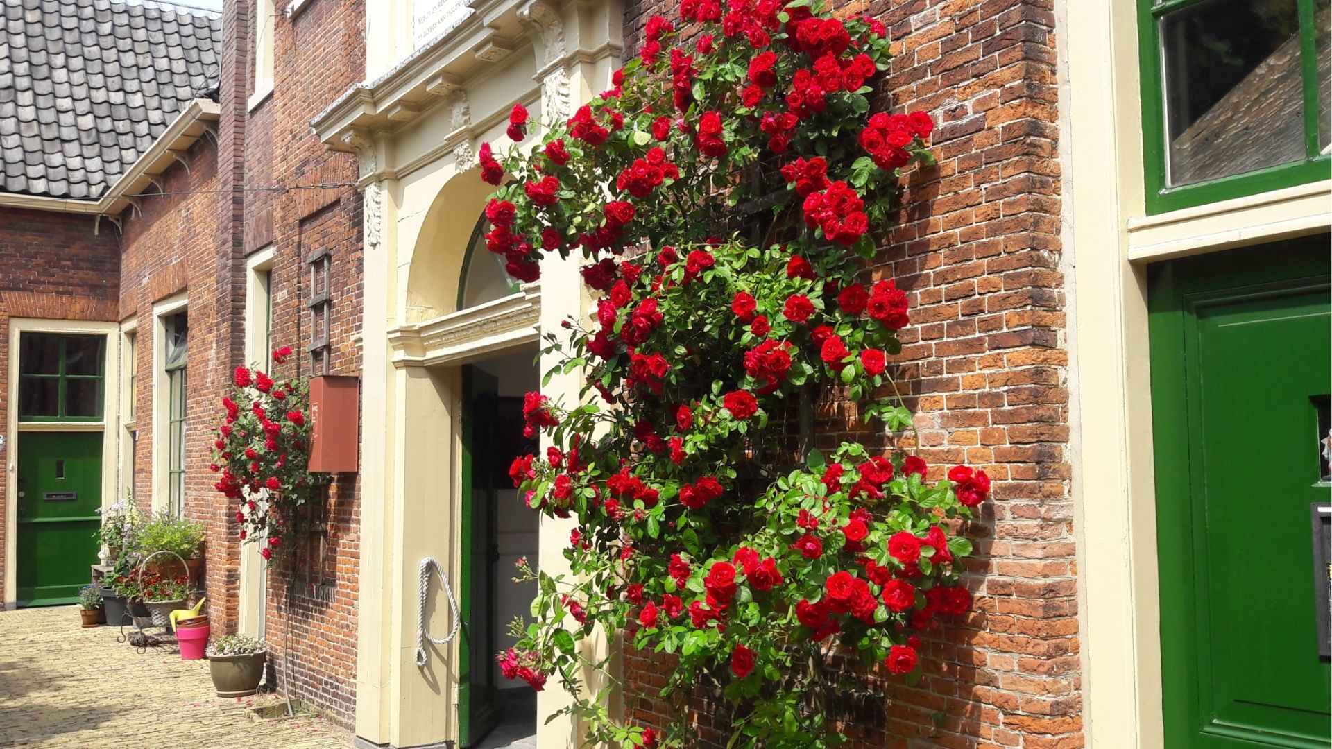 Alkmaar Hofje van Wildeman